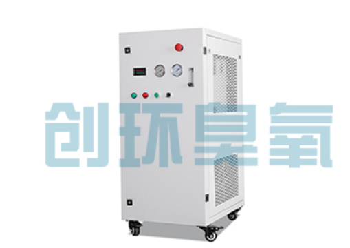 柏乡石斑鱼养殖水质调控完整指南:臭氧发生器配置与操作步骤